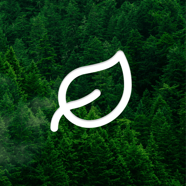 Sustainability